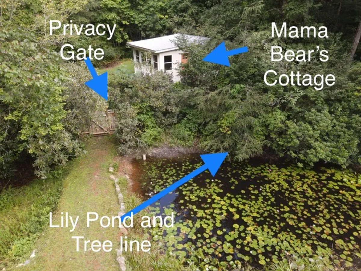 This wide view captures Mama Bear’s Cottage, the peaceful lily pond, a tree-lined boundary, and the privacy gate. The image conveys the overall property layout, including the natural landscape and features that ensure both seclusion and access to shared spaces.