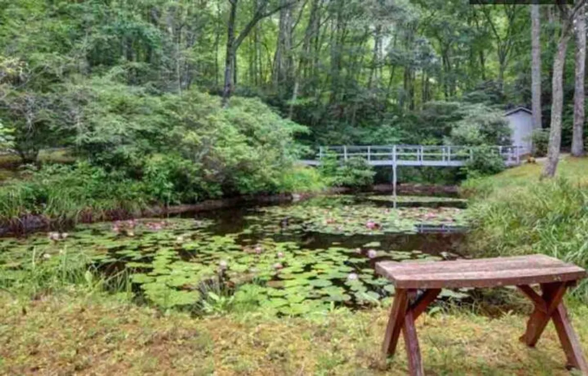 A peaceful pond surrounded by lush greenery, with a wooden bench overlooking the water, lily pads floating on the surface, and a small footbridge nearby. The setting invites quiet contemplation and relaxation, offering beautiful views.